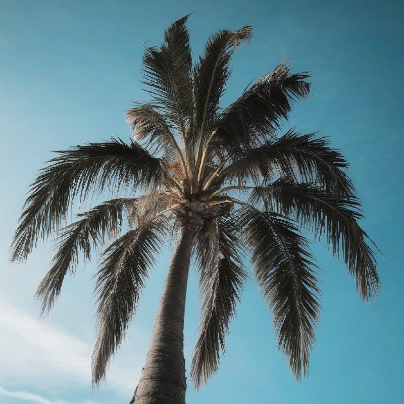 Cloudflare Stable Diffusion Draw